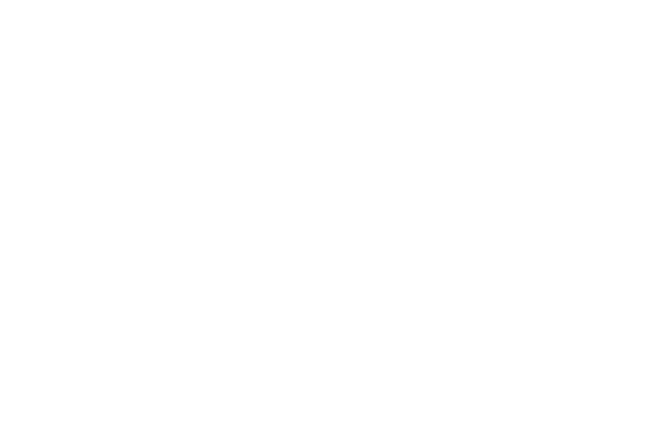 AfriAvian Environmental logo