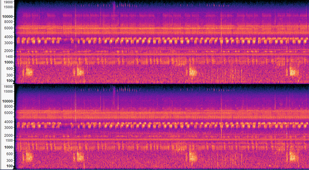 Acoustic monitoring studies