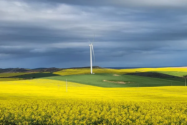 Excelsior wind farm